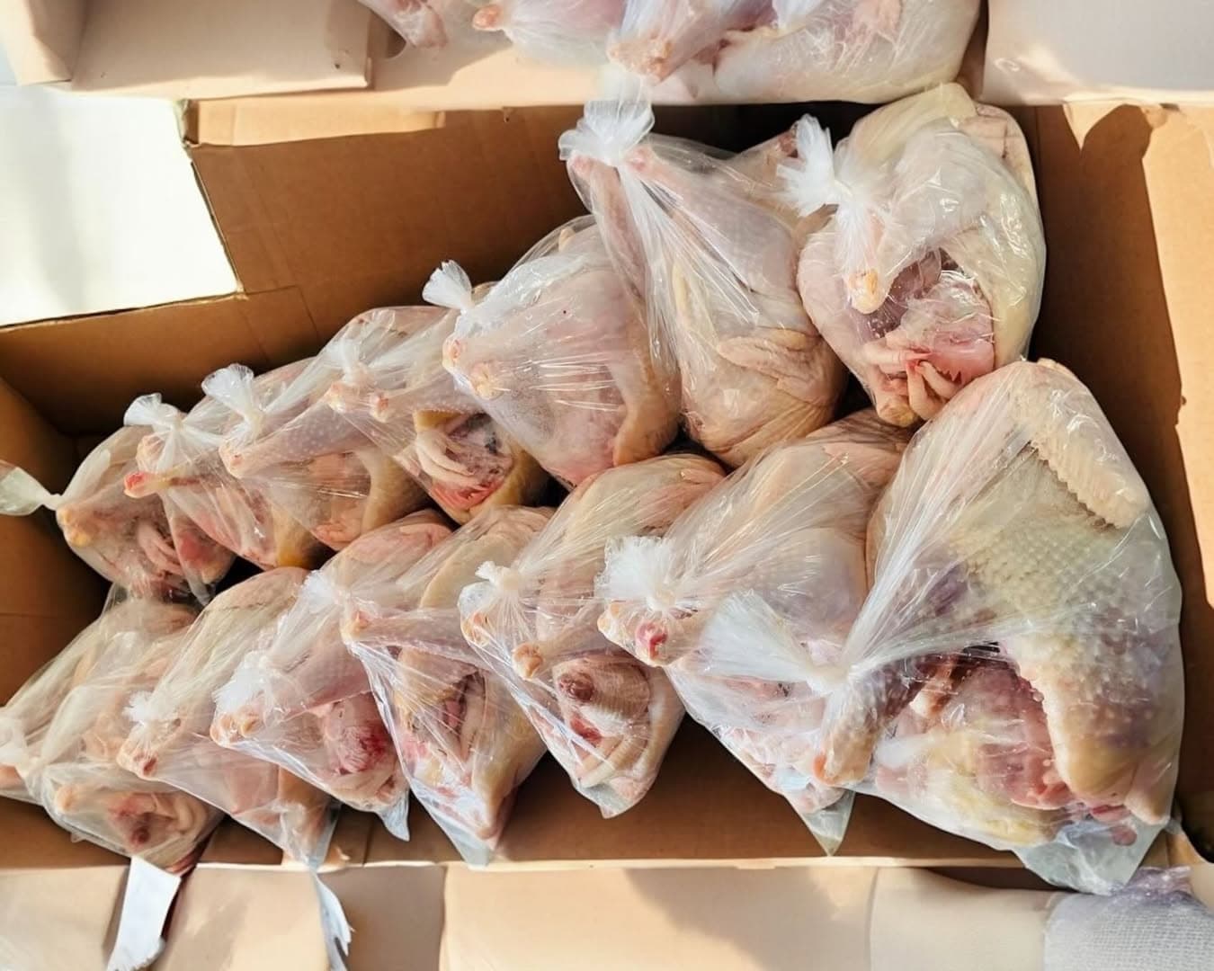 Dressed Chickens - Bakwena Poultry