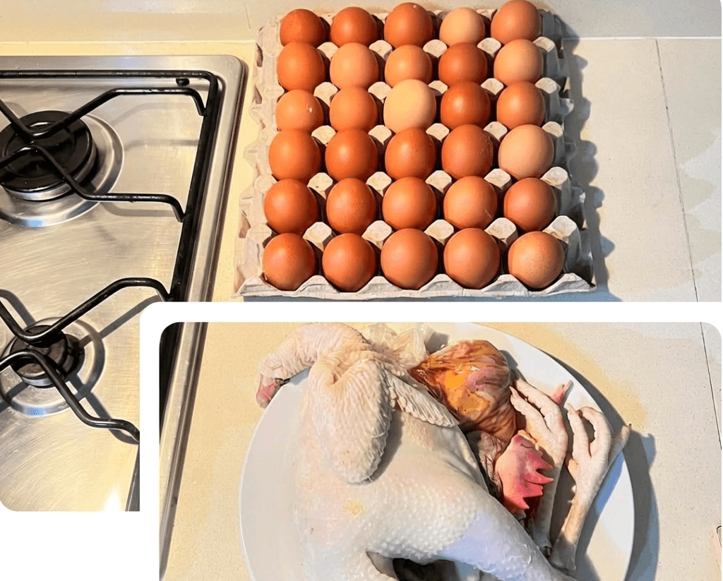 Bakwena Poultry Farm